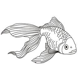 Dessin à colorier: Poisson Rouge (Animaux) #208326 - Coloriages à Imprimer Gratuits