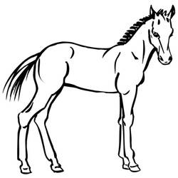 Page de coloriage Poney (Animaux) #214236, gratuite à imprimer