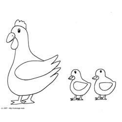 Dessin à colorier: Poule (Animaux) #17454 - Coloriages à Imprimer Gratuits