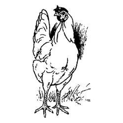 Dessin à colorier: Poule (Animaux) #17460 - Coloriages à Imprimer Gratuits