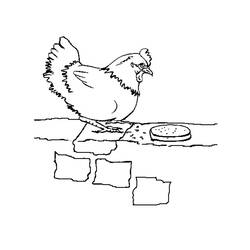 Dessin à colorier: Poulet (Animaux) #17230 - Coloriages à Imprimer Gratuits