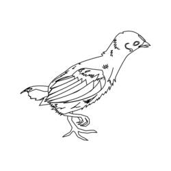 Dessin à colorier: Poussin (Animaux) #15386 - Coloriages à Imprimer Gratuits