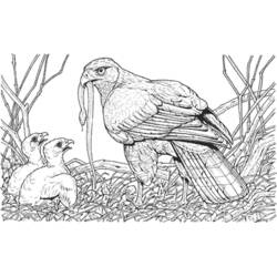 Coloriage Poussin (Animaux) #20360 à imprimer et colorier