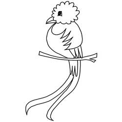 Dessins à colorier: Quetzal - Coloriages à Imprimer Gratuits