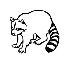 Dessin à colorier: Raton laveur (Animaux) #208492 - Coloriages à Imprimer Gratuits