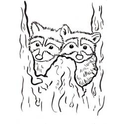 Dessin à colorier: Raton laveur (Animaux) #208494 - Coloriages à Imprimer Gratuits