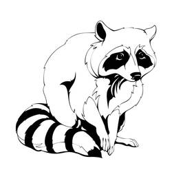 Dessin à colorier: Raton laveur (Animaux) #208498 - Coloriages à Imprimer Gratuits