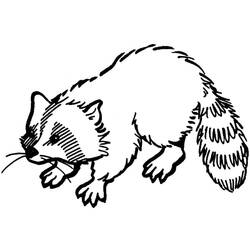Dessin à colorier: Raton laveur (Animaux) #208501 - Coloriages à Imprimer Gratuits