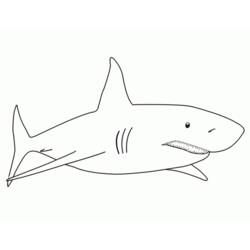Dessin à colorier: Requin (Animaux) #14766 - Coloriages à Imprimer Gratuits