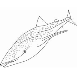 Dessin à colorier: Requin (Animaux) #14808 - Coloriages à Imprimer Gratuits