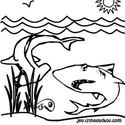 Dessin à colorier: Requin (Animaux) #14831 - Coloriages à Imprimer Gratuits
