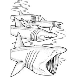 Dessin à colorier: Requin (Animaux) #14902 - Coloriages à Imprimer Gratuits
