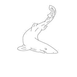 Dessin à colorier: Requin (Animaux) #14907 - Coloriages à Imprimer Gratuits