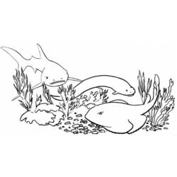 Dessin à colorier: Requin (Animaux) #14912 - Coloriages à Imprimer Gratuits