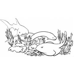 Dessin à colorier: Requin (Animaux) #14960 - Coloriages à Imprimer Gratuits