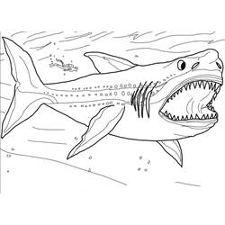 Coloriage Requin (Animaux) #177714 à imprimer et colorier