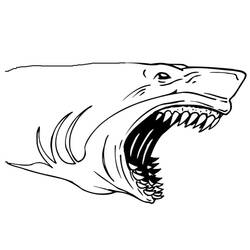 Coloriage Requin (Animaux) #177717 à imprimer et colorier
