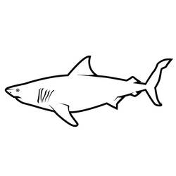 Coloriage Requin (Animaux) #177724 à imprimer et colorier