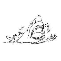 Coloriage Requin (Animaux) #177732 à imprimer et colorier