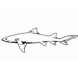 Coloriage Requin (Animaux) #217018 à imprimer et colorier