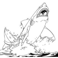 Coloriage Requin (Animaux) #217020 à imprimer et colorier