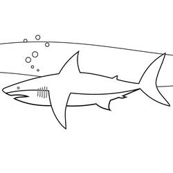 Coloriage Requin (Animaux) #217027 à imprimer et colorier