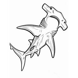 Dessin à colorier: Requin Marteau (Animaux) #220992 - Coloriages à Imprimer Gratuits