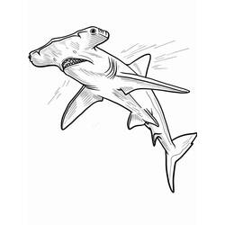 Dessins à colorier: Requin Marteau - Coloriages à Imprimer Gratuits