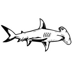 Dessin à colorier: Requin Marteau (Animaux) #220996 - Coloriages à Imprimer Gratuits