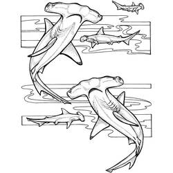 Dessin à colorier: Requin Marteau (Animaux) #220997 - Coloriages à Imprimer Gratuits
