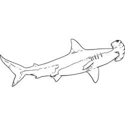 Dessin à colorier: Requin Marteau (Animaux) #221004 - Coloriages à Imprimer Gratuits