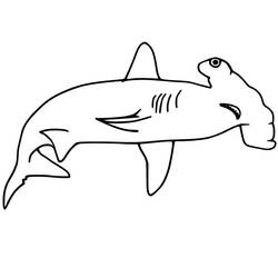 Dessin à colorier: Requin Marteau (Animaux) #221010 - Coloriages à Imprimer Gratuits