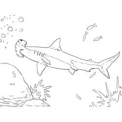 Dessin à colorier: Requin Marteau (Animaux) #221012 - Coloriages à Imprimer Gratuits