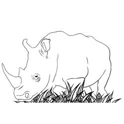 Dessin à colorier: Rhinocéros (Animaux) #206663 - Coloriages à Imprimer Gratuits