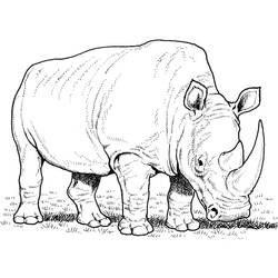 Dessin à colorier: Rhinocéros (Animaux) #206669 - Coloriages à Imprimer Gratuits