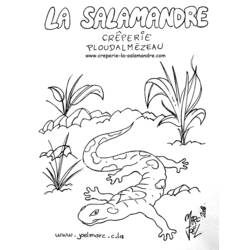 Dessin à colorier: Salamandre (Animaux) #19893 - Coloriages à Imprimer Gratuits