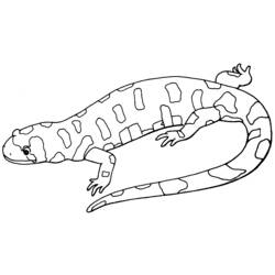 Dessin à colorier: Salamandre (Animaux) #19902 - Coloriages à Imprimer Gratuits
