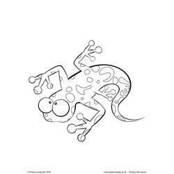 Dessin à colorier: Salamandre (Animaux) #19944 - Coloriages à Imprimer Gratuits