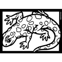 Dessin à colorier: Salamandre (Animaux) #19952 - Coloriages à Imprimer Gratuits