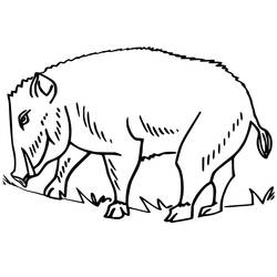 Dessin à colorier: Sanglier (Animaux) #205353 - Coloriages à Imprimer Gratuits