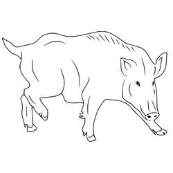 Dessin à colorier: Sanglier (Animaux) #205354 - Coloriages à Imprimer Gratuits