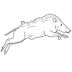 Dessin à colorier: Sanglier (Animaux) #205357 - Coloriages à Imprimer Gratuits