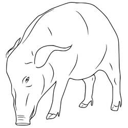 Dessin à colorier: Sanglier (Animaux) #205364 - Coloriages à Imprimer Gratuits