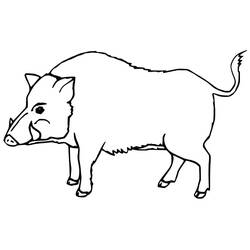 Dessin à colorier: Sanglier (Animaux) #205367 - Coloriages à Imprimer Gratuits