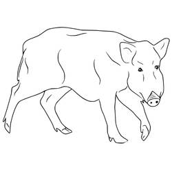 Dessin à colorier: Sanglier (Animaux) #205369 - Coloriages à Imprimer Gratuits