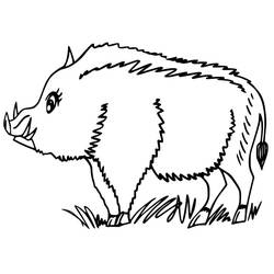 Dessin à colorier: Sanglier (Animaux) #205379 - Coloriages à Imprimer Gratuits