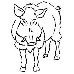 Dessin à colorier: Sanglier (Animaux) #205380 - Coloriages à Imprimer Gratuits