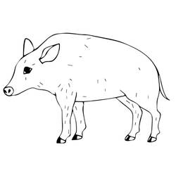 Dessin à colorier: Sanglier (Animaux) #205381 - Coloriages à Imprimer Gratuits