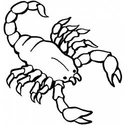 Dessin à colorier: Scorpion (Animaux) #14549 - Coloriages à Imprimer Gratuits