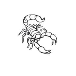 Dessin à colorier: Scorpion (Animaux) #14552 - Coloriages à Imprimer Gratuits